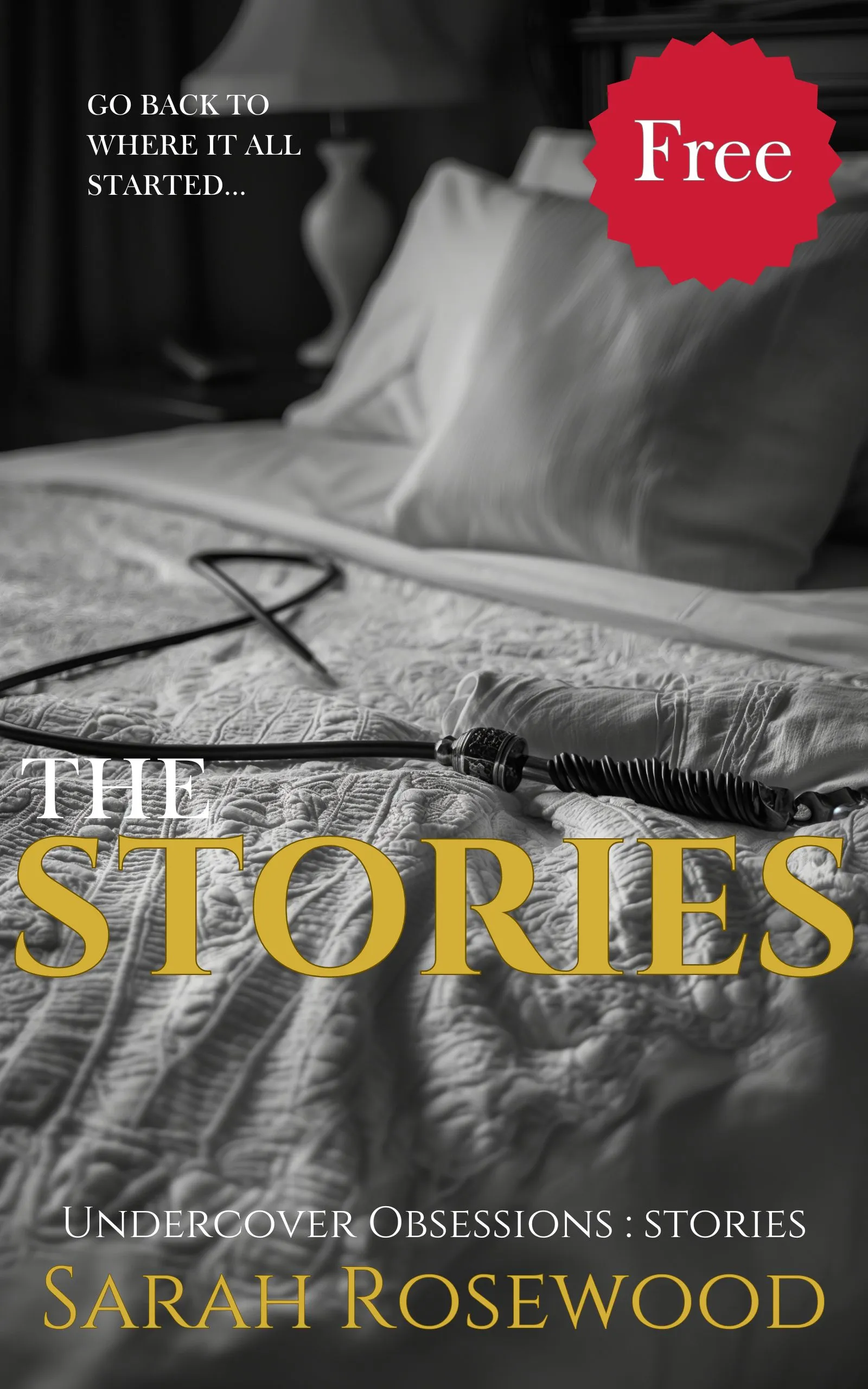 The Stories by Sarah Rosewood